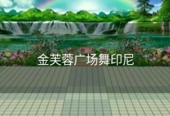 金芙蓉广场舞印尼