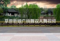 草原新娘广场舞双人舞视频