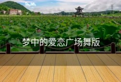 梦中的爱恋广场舞版