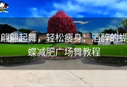 翩翩起舞，轻松瘦身：酒醉的蝴蝶减肥广场舞教程