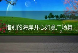 惜别的海岸开心如意广场舞