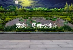 爱家广场舞玫瑰花