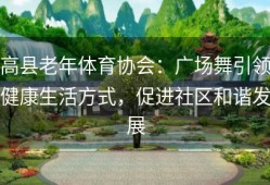 高县老年体育协会：广场舞引领健康生活方式，促进社区和谐发展