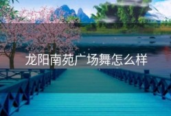龙阳南苑广场舞怎么样