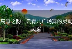 高原之韵：云青儿广场舞的灵动风采
