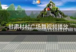 甘肃村村广场舞视频播放