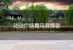 动动广场舞马背情歌