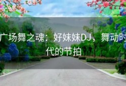 广场舞之魂：好妹妹DJ，舞动时代的节拍