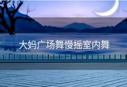 大妈广场舞慢摇室内舞