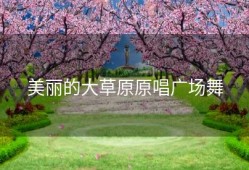 美丽的大草原原唱广场舞