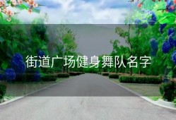 街道广场健身舞队名字