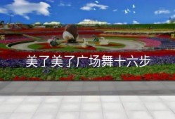 美了美了广场舞十六步