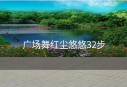 广场舞红尘悠悠32步