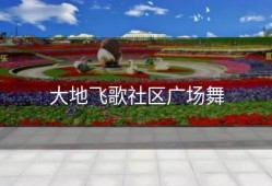 大地飞歌社区广场舞