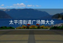 太平湾街道广场舞大全