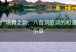 广场舞之韵：八百洞庭湖的和谐乐章