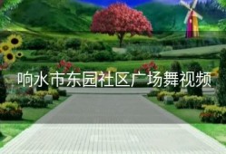 响水市东园社区广场舞视频
