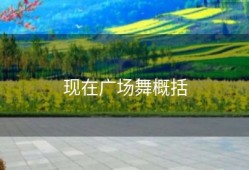 现在广场舞概括