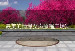 最美的情缘女声原唱广场舞