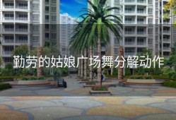 勤劳的姑娘广场舞分解动作