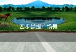 四步蝴蝶广场舞