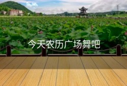 今天农历广场舞吧