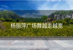 杨丽萍广场舞越走越宽