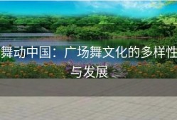 舞动中国：广场舞文化的多样性与发展