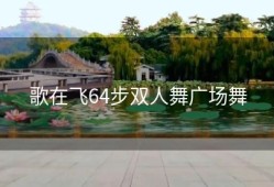 歌在飞64步双人舞广场舞