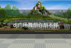dj广场舞想你想不够