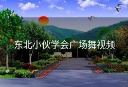 东北小伙学会广场舞视频