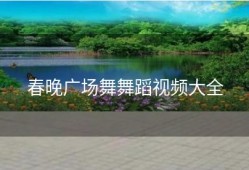 春晚广场舞舞蹈视频大全