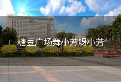 糖豆广场舞小芳呀小芳