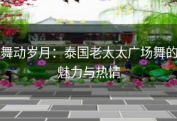 舞动岁月：泰国老太太广场舞的魅力与热情