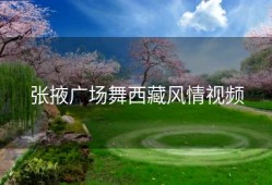 张掖广场舞西藏风情视频