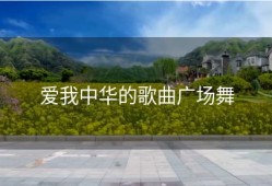 爱我中华的歌曲广场舞