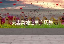 夫妻菜地扯草广场舞