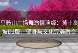 马鞍山广场舞激情演绎：黄土高坡DJ版，健身与文化完美融合