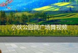 小伙公园跳广场舞视频