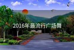 2016年最流行广场舞