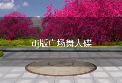 dj版广场舞大碟