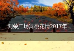 刘荣广场舞桃花情2017年