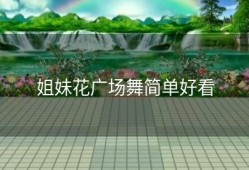 姐妹花广场舞简单好看