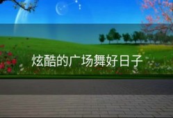 炫酷的广场舞好日子