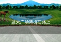 蓝天广场舞dj在路上