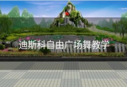 迪斯科自由广场舞教学