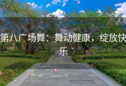 第八广场舞：舞动健康，绽放快乐