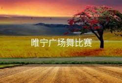 睢宁广场舞比赛