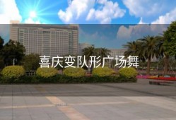 喜庆变队形广场舞