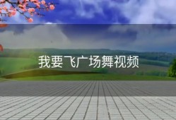 我要飞广场舞视频